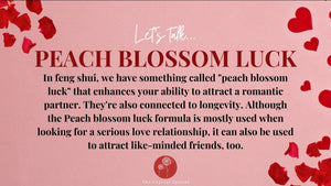 Peach Blossom Luck