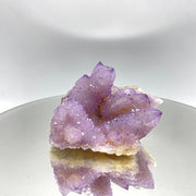Cactus Quartz Crystal