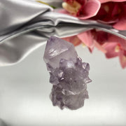 Cactus Quartz Crystal