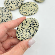 Dalmatian Jasper Crystal Worry Stone Crystal