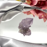 Cactus Quartz Crystal