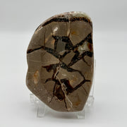 Septarian Slice Crystal