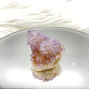 Cactus Quartz Crystal