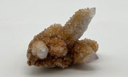 Citrine Cactus quartz cluster