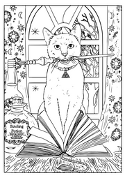 Black Cat Adult Colour In Downloads