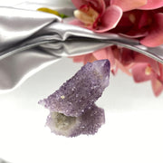 Cactus Quartz Crystal