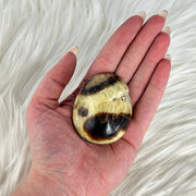 Serpentine Palm Piece