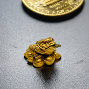 Mini Gold Frog