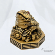 Gold Money Frog On Lucky Bugua Statues