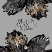 Black Kyanite - protector 101 Downloads
