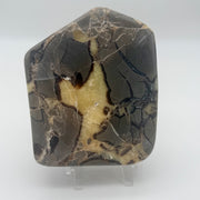 Septarian Crystal Slice