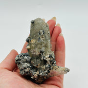 Witches Finger Elestial