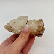 Smoky Cactus Quartz
