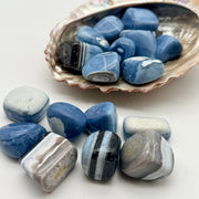 Blue Owyhee Opal Tumbled Crystal