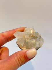 Apophyllite From India Crystal