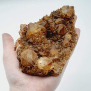 Cactus Quartz Natural Coating Crystals