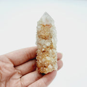 Crimson Queen Cactus Quartz