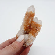 Cactus Quartz Crimson Queen Crystals