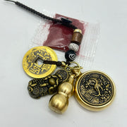 Lucky Spinning Coin Keyring- Tiger