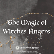 Witches Finger eBook Downloads