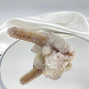 Cactus Quartz Crystal