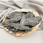 Large Black Kyanite Crystals