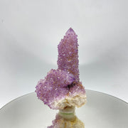 Cactus Quartz Crystal