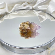 Cactus Quartz Crystal