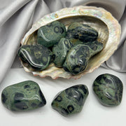 Large Tumbled Kambaba Jasper Crystals