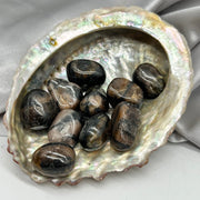 Tumbled Chiastolite Crystal