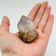 Spirit Cactus Quartz With Record Keeper Crystals