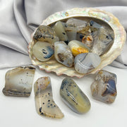 Tumbled Montana (Dendritic) Agate Rocks & Fossils