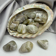 Tumbled Prasiolite (Green Amethyst) Stone Crystals