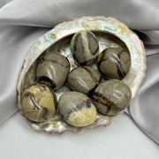 Septarian (Galei) Palm Stone Crystals