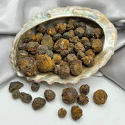 Dendritic Garnet Crystals