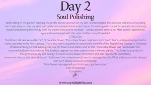 Day 2 Soul Polishing