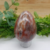Petrified Wood Egg Crystals