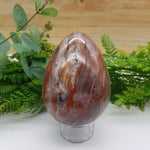 Petrified Wood Egg