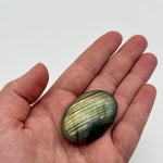 Labradorite Palm Crystal