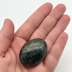 Labradorite Palm Crystal