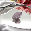 Cactus Quartz Crystal