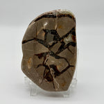 Septarian Slice Crystal