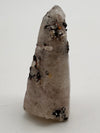 Witches finger