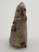 Witches finger