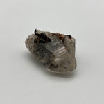 Witches finger
