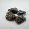 Turritella Agate
