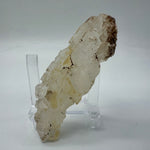 Fishtail Selenite Quartz Crystal - Africa