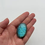 Labradorite Palm Crystal
