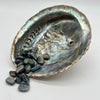 Blue Kyanite Small Crystals