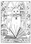 Black Cat Adult Colour In Downloads